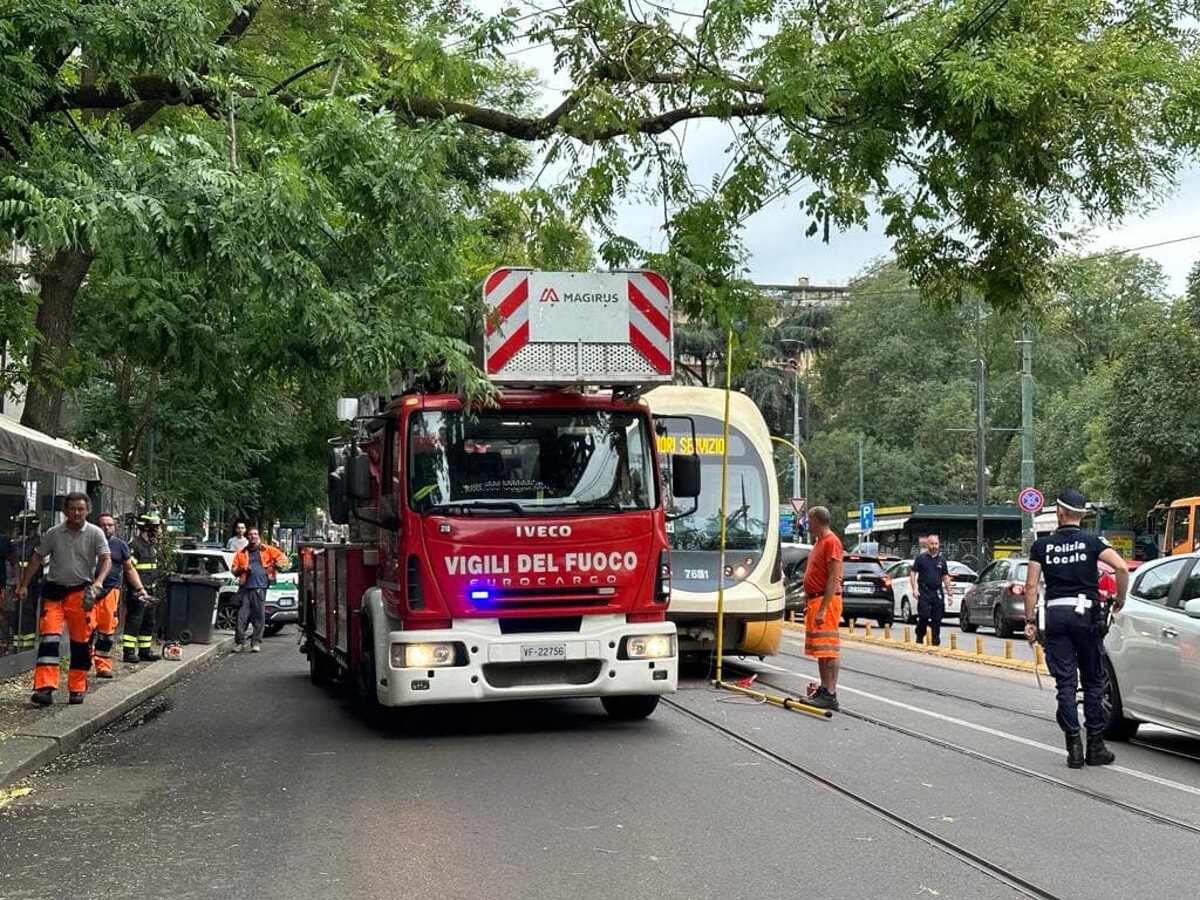 Alberi Caduti E Tetti Scoperchiati Super Lavoro Per I Pompieri A